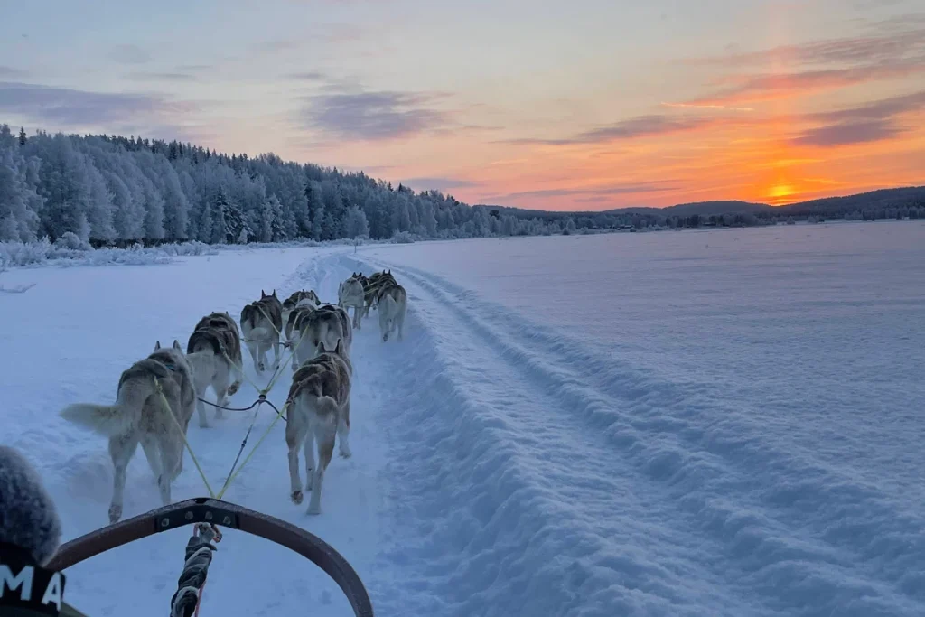 Husky Tour in Schweden Lappland - hejanord