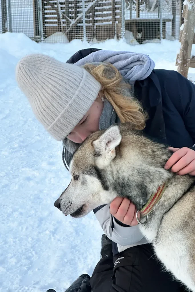 Husky Ausflug Lappland - hejanord