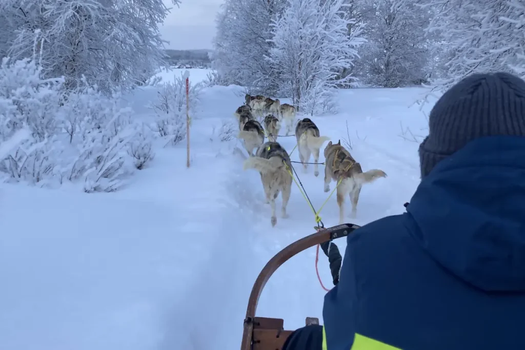 Huskytrail im Lappland - hejanord