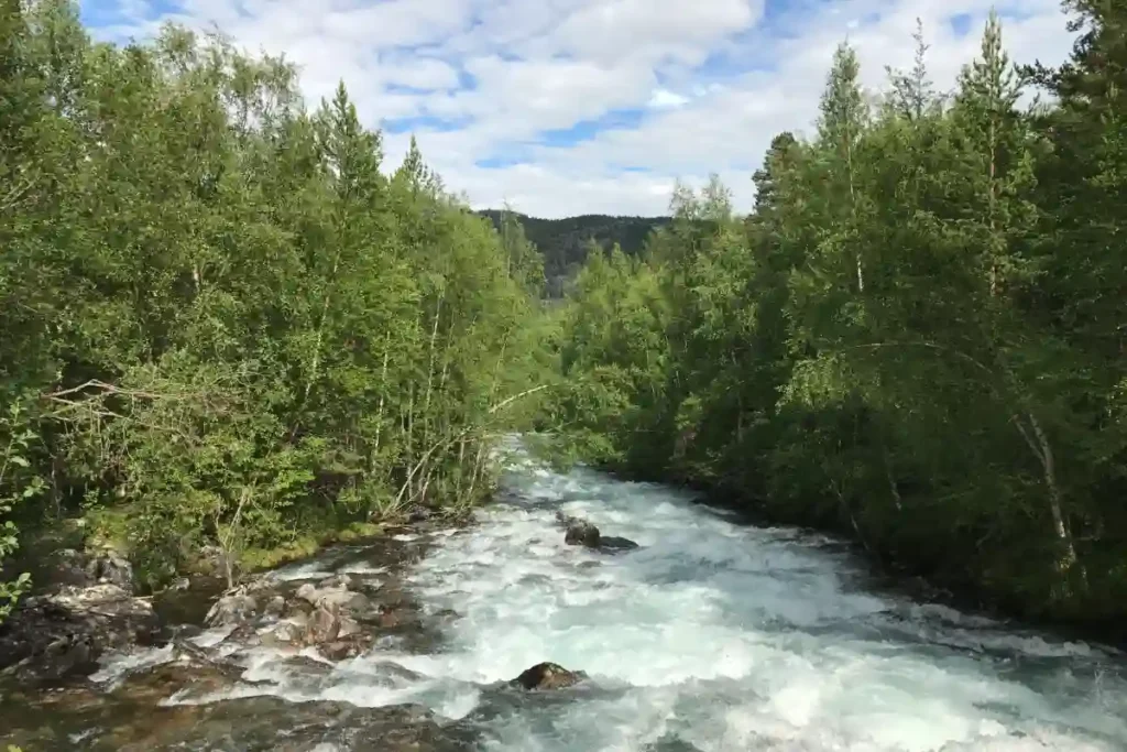 norwegen fluss